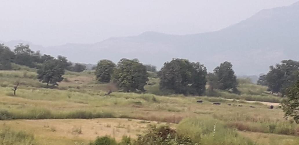 Karjat Mountain Villa المظهر الخارجي الصورة